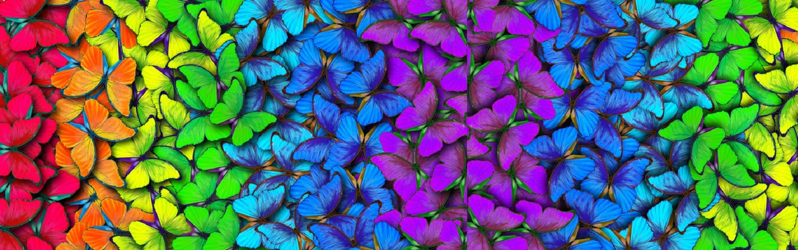 Colors,Of,Rainbow.,Pattern,Of,Multicolored,Butterflies,Morpho,,Texture,Background.