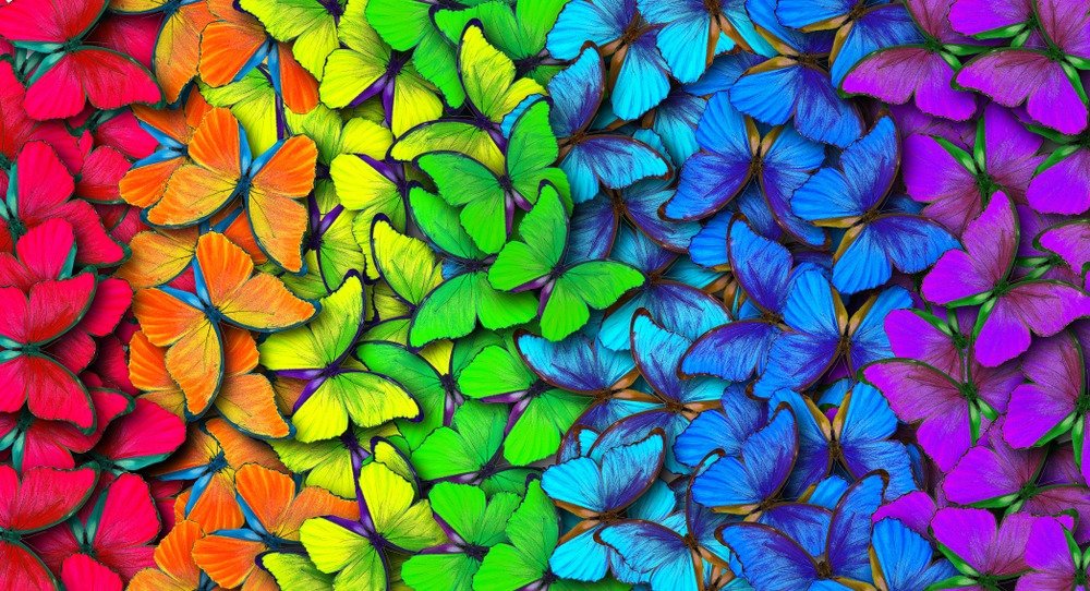 Colors of rainbow. Pattern of multicolored butterflies morpho, texture background.